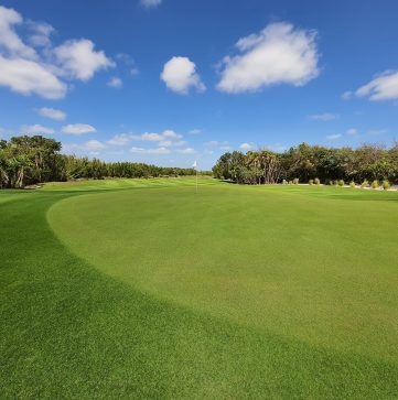 4riviera-cancun-golf-club-course-cancun-book-tee-time-local-caddie.jpg