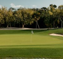 7riviera-maya-golf-courses-gran-coyote-golf